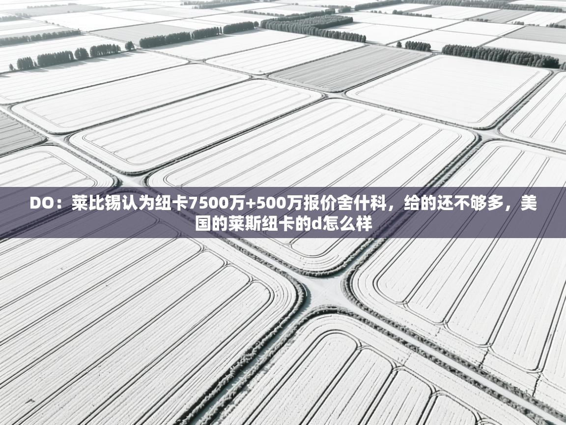 DO:莱比锡认为纽卡7500万+500万报价舍什科,给的还不够多,美国的莱斯纽卡的d怎么样 第2张