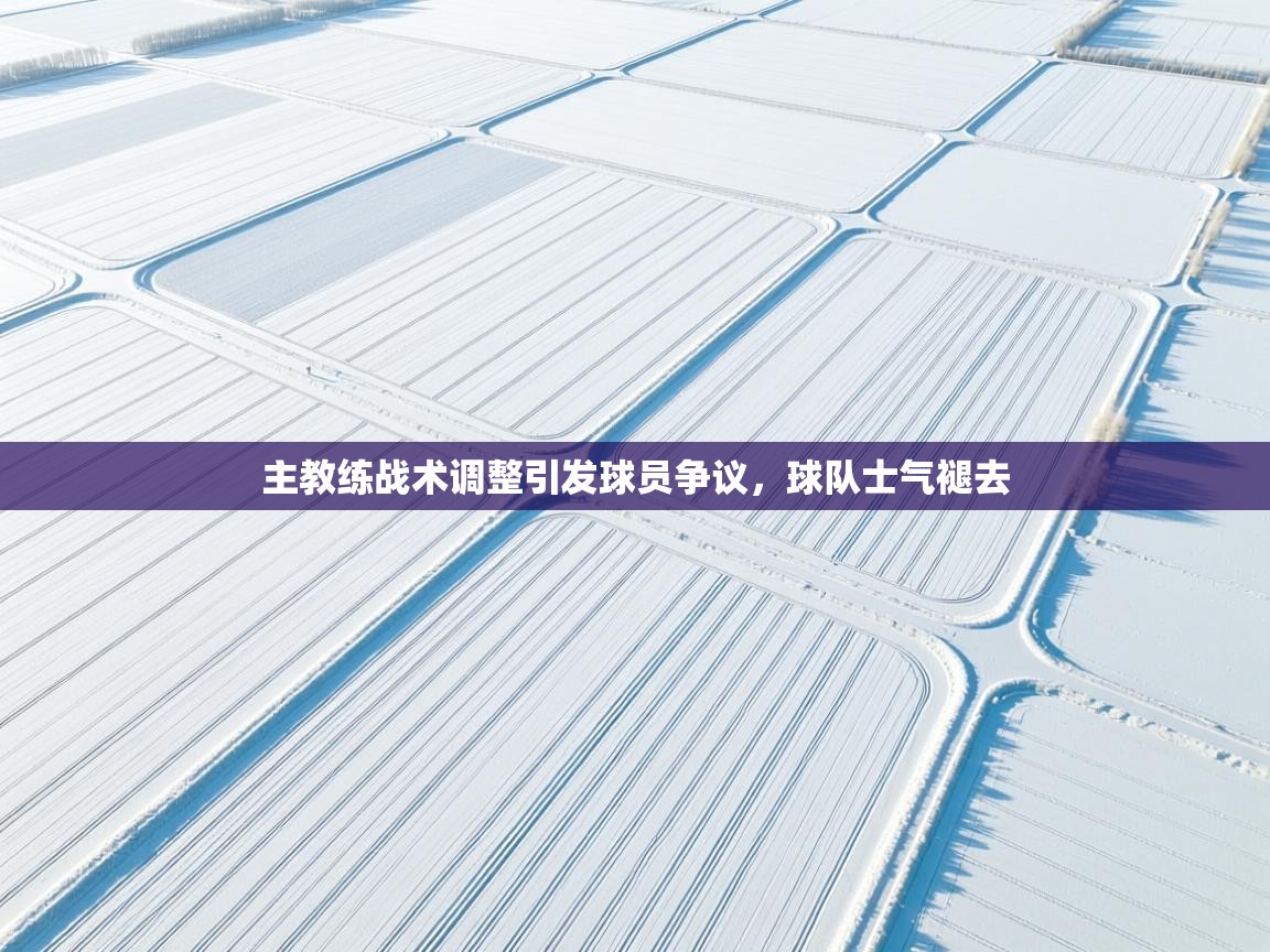 主教练战术调整引发球员争议，球队士气褪去