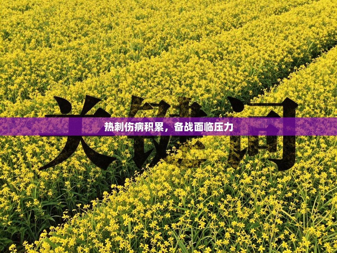 热刺伤病积累，备战面临压力