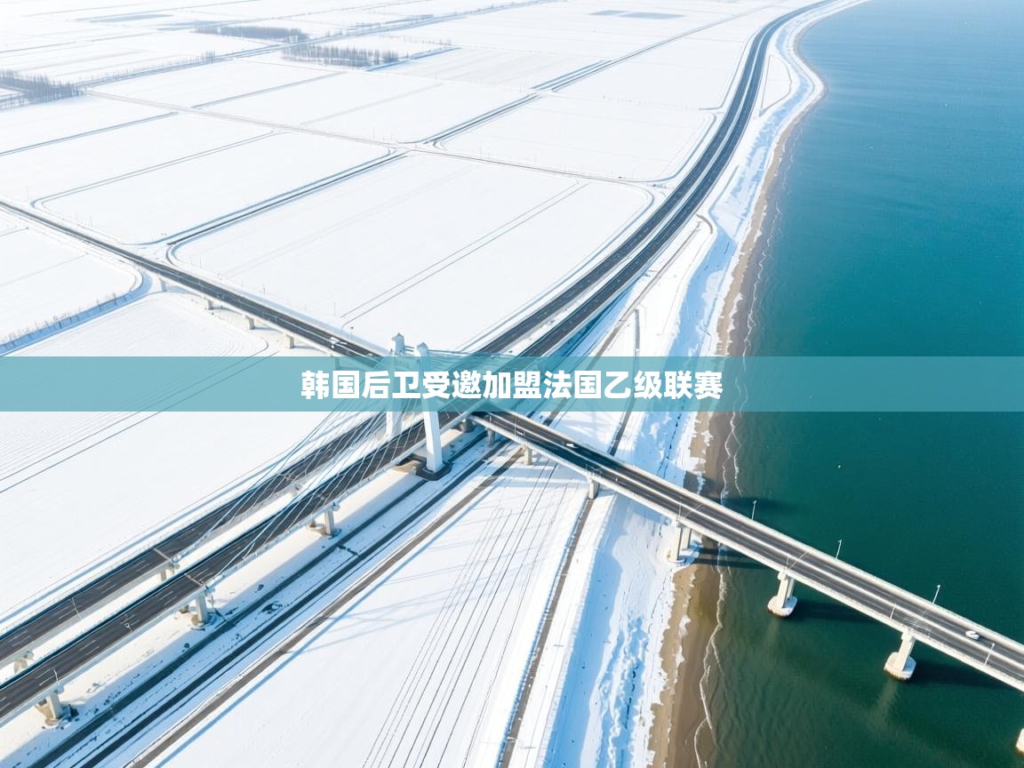 韩国后卫受邀加盟法国乙级联赛  第1张