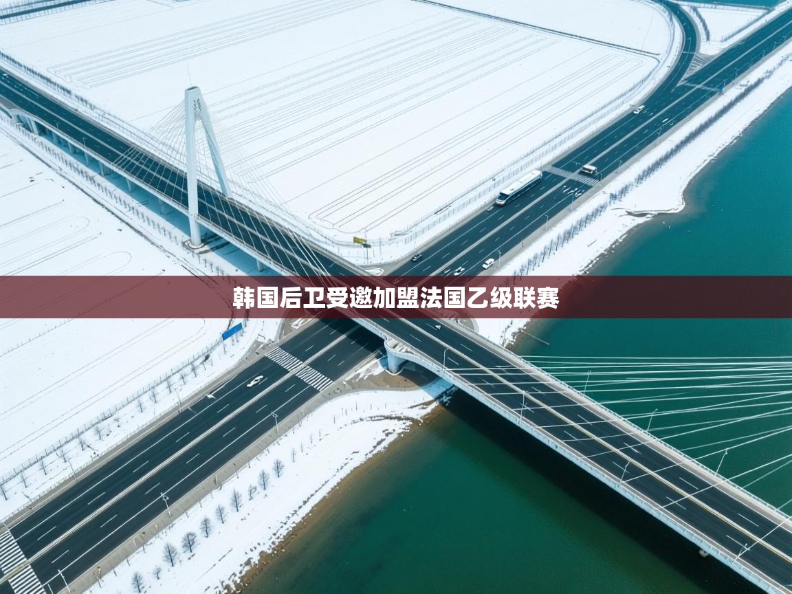 韩国后卫受邀加盟法国乙级联赛  第2张